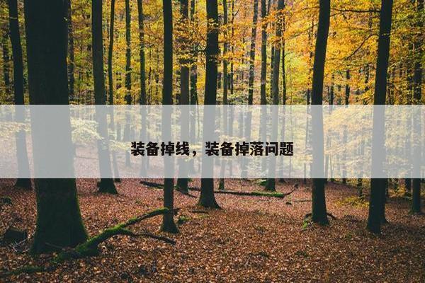 装备掉线，装备掉落问题
