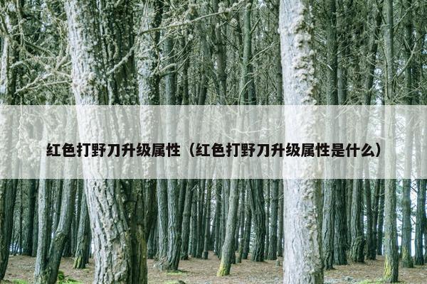 红色打野刀升级属性（红色打野刀升级属性是什么）