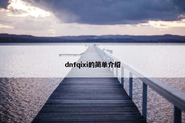 dnfqixi的简单介绍