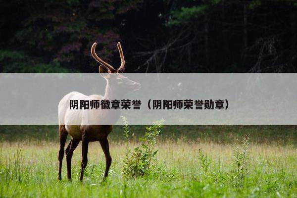 阴阳师徽章荣誉（阴阳师荣誉勋章）