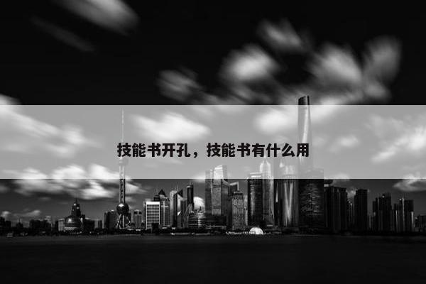 技能书开孔，技能书有什么用