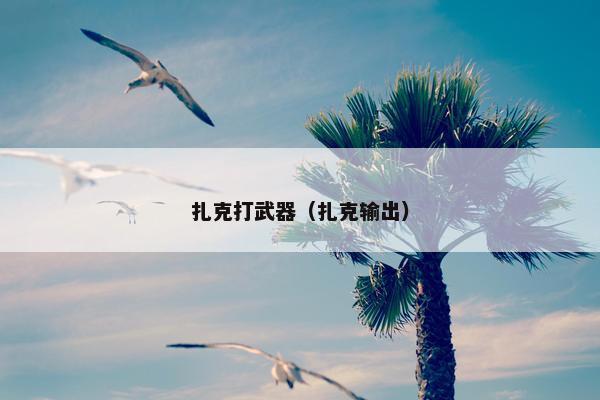 扎克打武器（扎克输出）