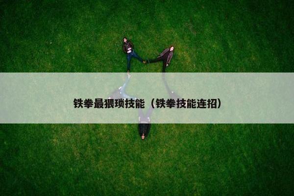 铁拳最猥琐技能（铁拳技能连招）
