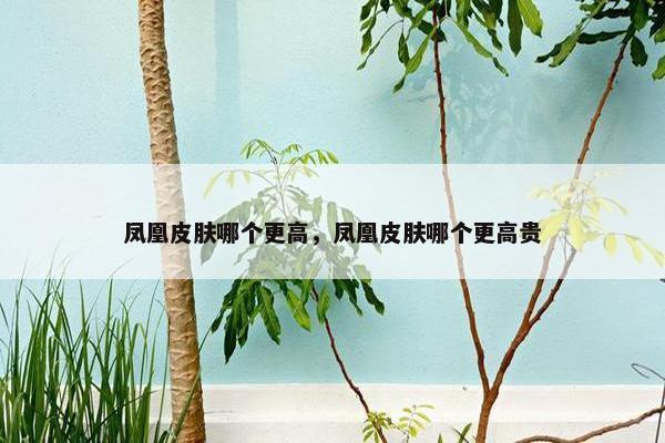 凤凰皮肤哪个更高，凤凰皮肤哪个更高贵