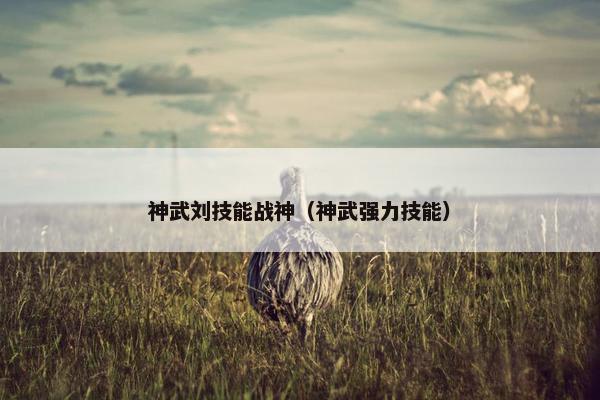 神武刘技能战神（神武强力技能）