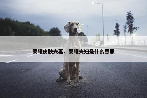 荣耀皮肤夫妻，荣耀夫妇是什么意思
