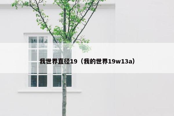 我世界直径19（我的世界19w13a）