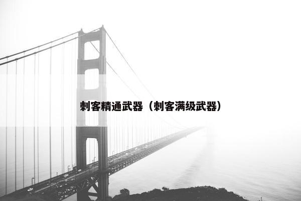 刺客精通武器（刺客满级武器）