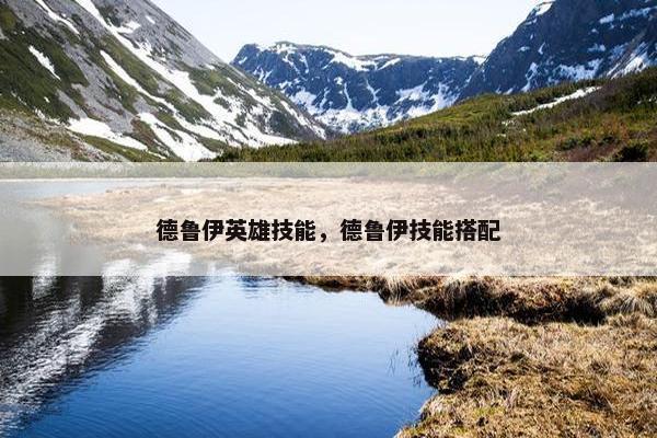 德鲁伊英雄技能，德鲁伊技能搭配