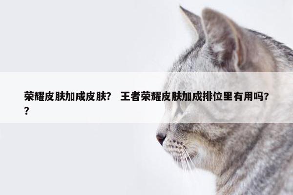 荣耀皮肤加成皮肤？ 王者荣耀皮肤加成排位里有用吗?？