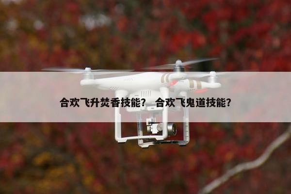 合欢飞升焚香技能？ 合欢飞鬼道技能？