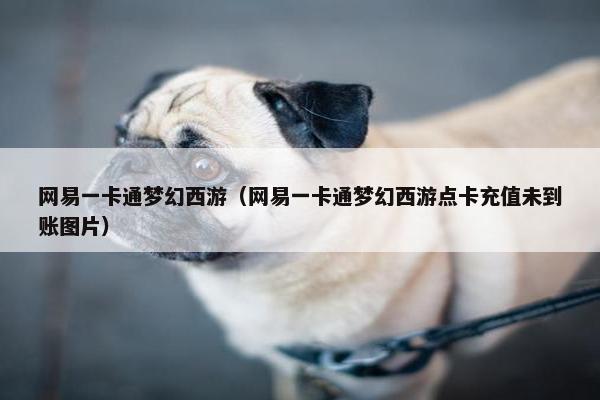 网易一卡通梦幻西游（网易一卡通梦幻西游点卡充值未到账图片）