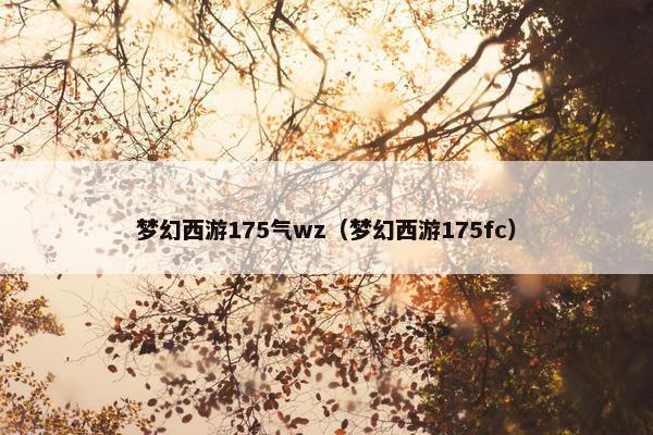 梦幻西游175气wz（梦幻西游175fc）