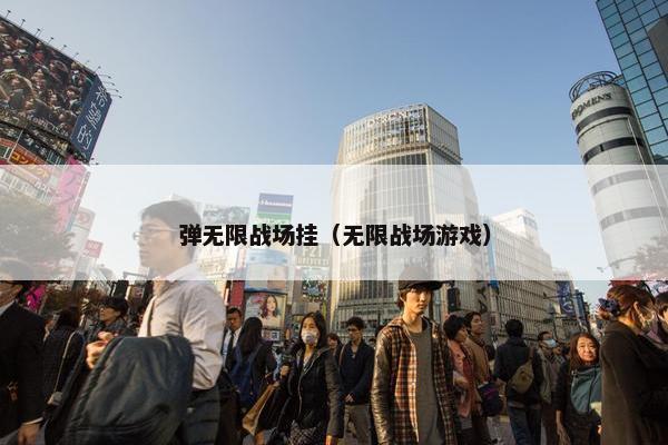 弹无限战场挂（无限战场游戏）