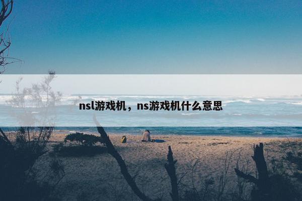 nsl游戏机，ns游戏机什么意思