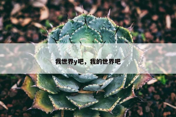 我世界y吧，我的世界吧