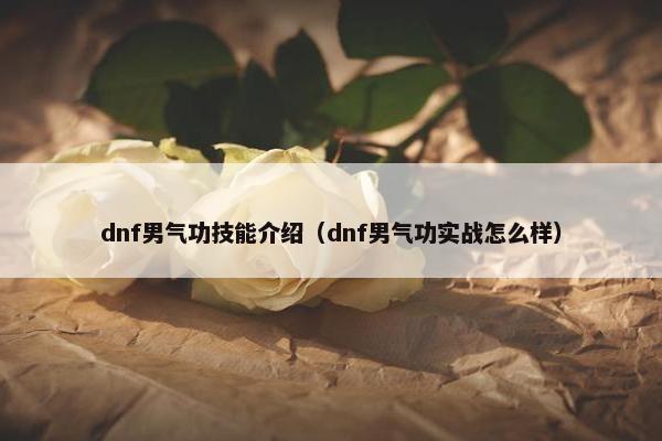 dnf男气功技能介绍（dnf男气功实战怎么样）