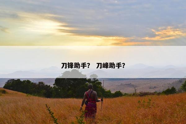 刀锋助手？ 刀峰助手？