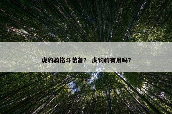 虎豹骑格斗装备？ 虎豹骑有用吗？