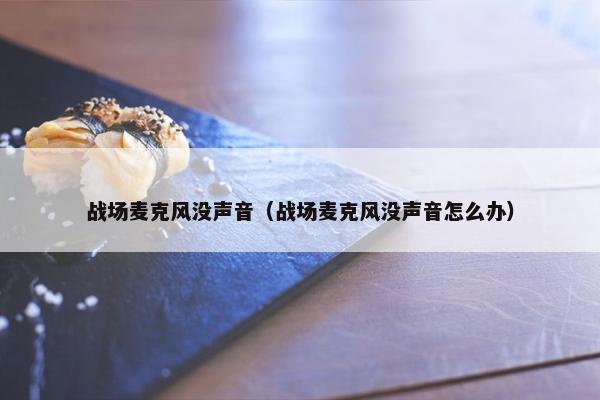战场麦克风没声音（战场麦克风没声音怎么办）