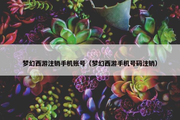 梦幻西游注销手机账号（梦幻西游手机号码注销）