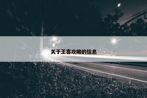 关于王喜攻略的信息