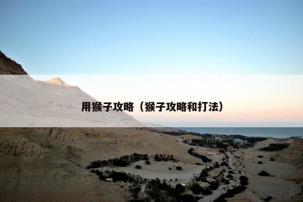 用猴子攻略（猴子攻略和打法）