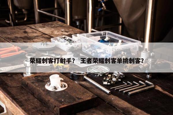 荣耀刺客打射手？ 王者荣耀刺客单挑刺客？