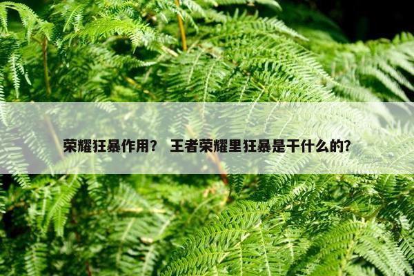 荣耀狂暴作用？ 王者荣耀里狂暴是干什么的？