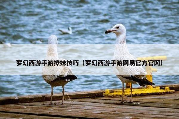 梦幻西游手游撩妹技巧（梦幻西游手游网易官方官网）