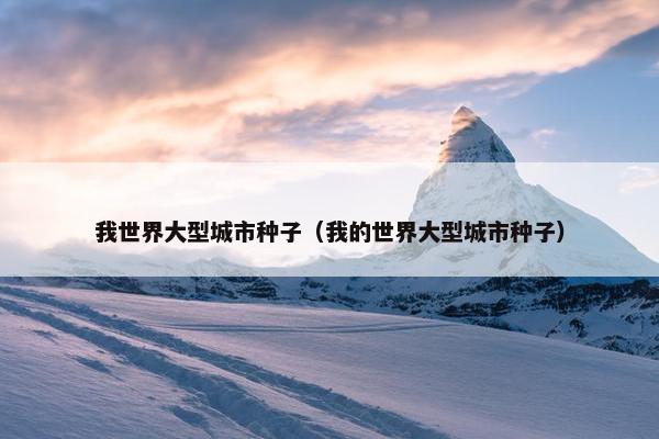 我世界大型城市种子（我的世界大型城市种子）