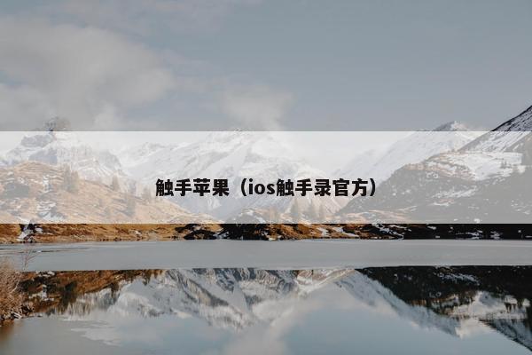 触手苹果（ios触手录官方）