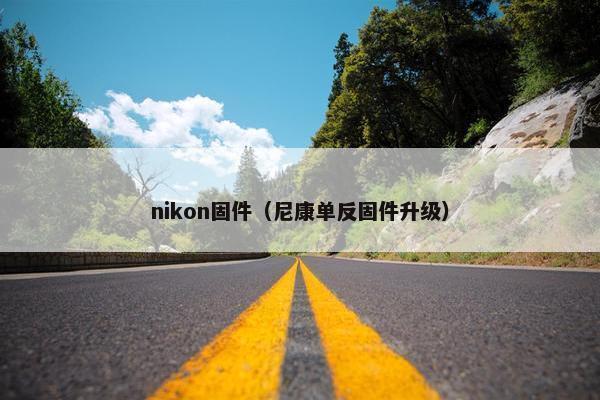 nikon固件（尼康单反固件升级）