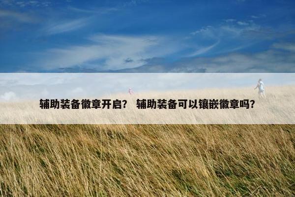 辅助装备徽章开启？ 辅助装备可以镶嵌徽章吗？