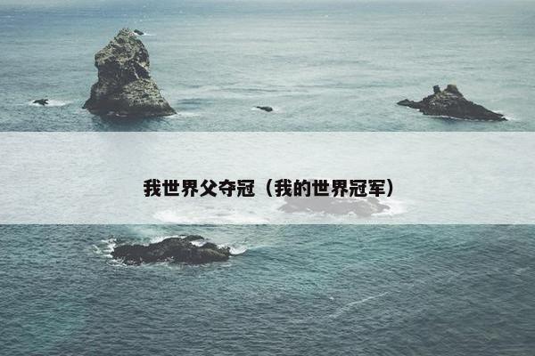 我世界父夺冠（我的世界冠军）