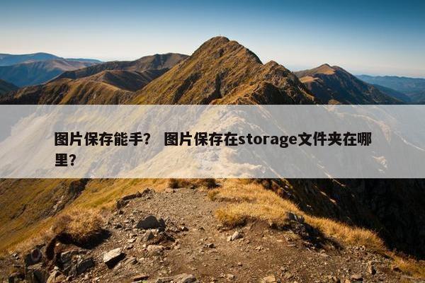 图片保存能手？ 图片保存在storage文件夹在哪里？