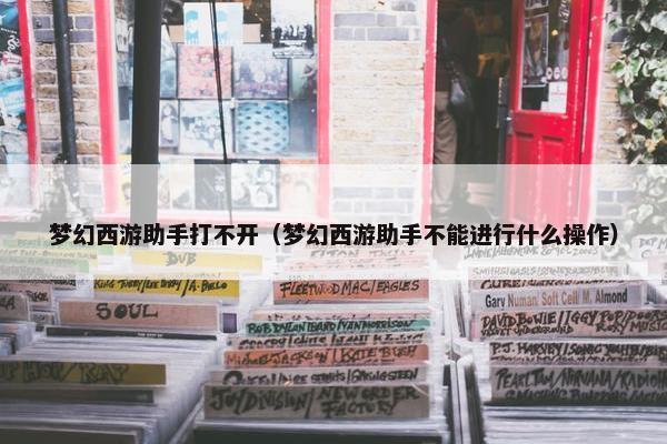 梦幻西游助手打不开（梦幻西游助手不能进行什么操作）
