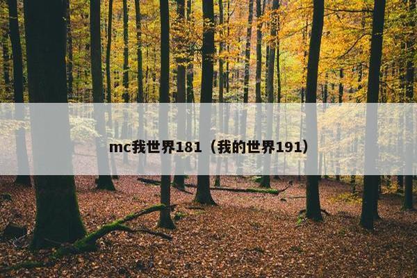 mc我世界181（我的世界191）