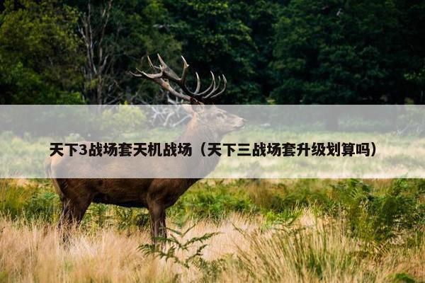 天下3战场套天机战场（天下三战场套升级划算吗）