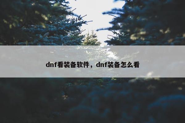 dnf看装备软件，dnf装备怎么看