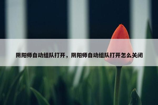 阴阳师自动组队打开，阴阳师自动组队打开怎么关闭