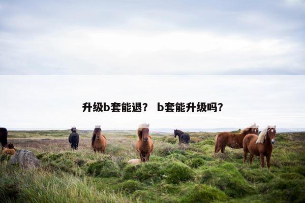 升级b套能退？ b套能升级吗？