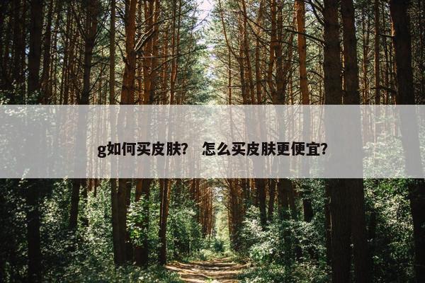 g如何买皮肤？ 怎么买皮肤更便宜？