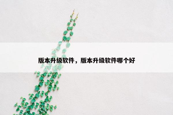 版本升级软件，版本升级软件哪个好