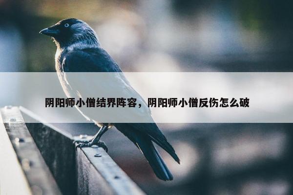 阴阳师小僧结界阵容，阴阳师小僧反伤怎么破