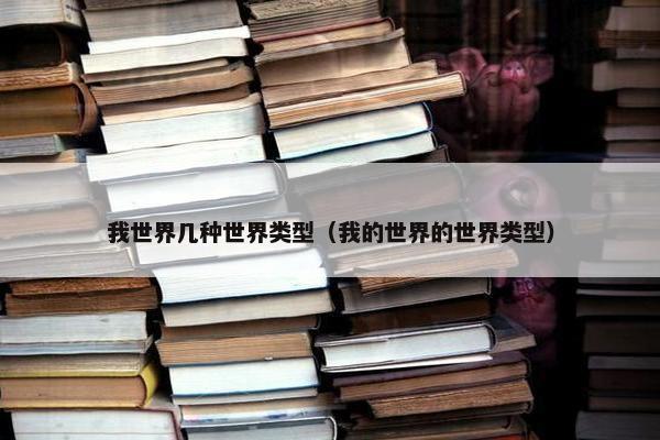 我世界几种世界类型（我的世界的世界类型）
