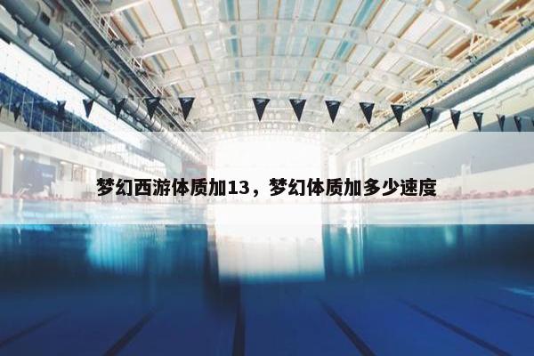 梦幻西游体质加13，梦幻体质加多少速度