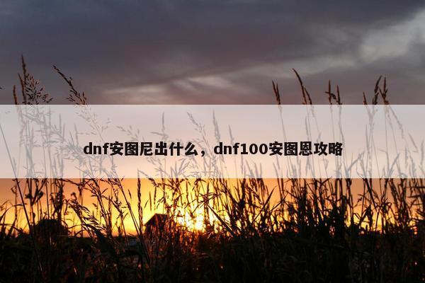 dnf安图尼出什么，dnf100安图恩攻略