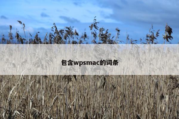 包含wpsmac的词条