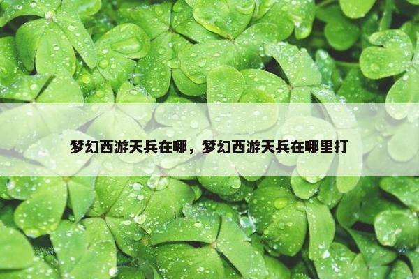 梦幻西游天兵在哪，梦幻西游天兵在哪里打